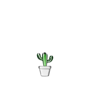 Ťažidlo kaktus zelený - Ichendorf - kvitnúce kaktusy, kaktus s listami, kvitnuci kaktus, kaktus izbový