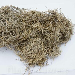 Sušina Tillandsia, 140g - machovy obraz, machová stena, machovy obraz strom, machovy obraz vyroba, machovy obraz cena, machova stena cena, machova stena v obyvacke, machovy obraz na stenu, ram na machovy obraz, ako vyrobit machovy obraz, machovy obraz strom zivota, machovy obraz kruh, machova stena vyroba, zivy machovy obraz, obraz machovy, machova stena cena m2