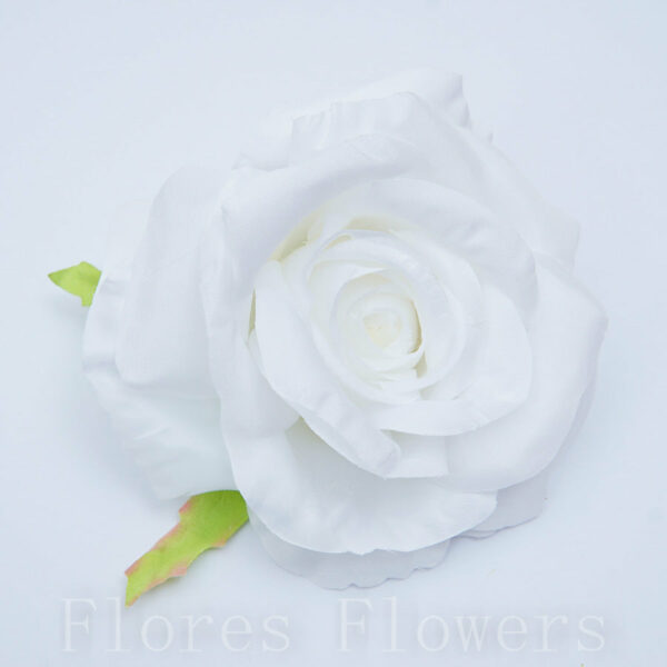 umelé kvety, ruze, stabilizované ruže, popinave ruze, biele ruže, lacne umele kvety, ruze v boxe, umelé kvety ako živé, luxusné umelé kvety, ruza cena, modré Ruža vencová 10cm BIELA, cena za 6ks - ruže, umele kvety kusovky, trvacne ruze v boxe, trvácne ruže v boxe, umelé kvety do vázy, umelé kytice, aranžmány z umelých kvetov, umele kvety do vazy, umelé ruže