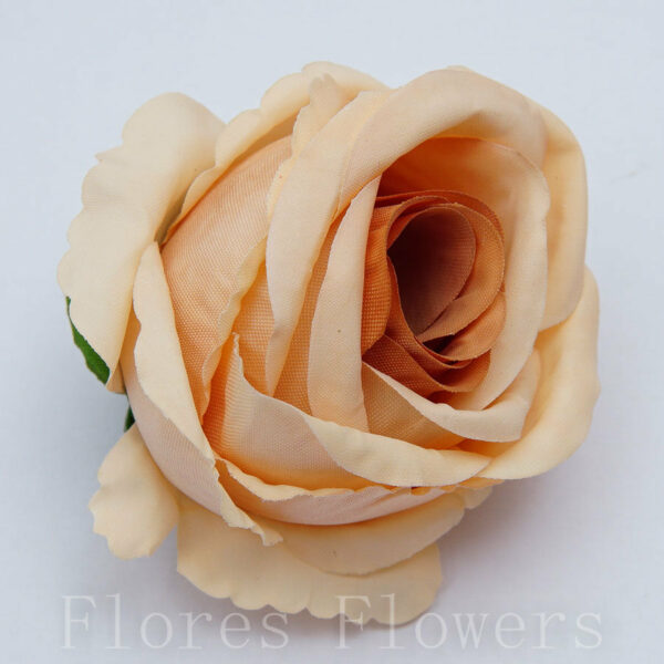 umelé kvety, ruze, stabilizované ruže, popinave ruze, biele ruže, lacne umele kvety, ruze v boxe, umelé kvety ako živé, luxusné umelé kvety, ruza cena, modré Ruža vencová mini 4cm, marhuľová, cena za 24ks - ruže, umele kvety kusovky, trvacne ruze v boxe, trvácne ruže v boxe, umelé kvety do vázy, umelé kytice, aranžmány z umelých kvetov, umele kvety do vazy, umelé ruže