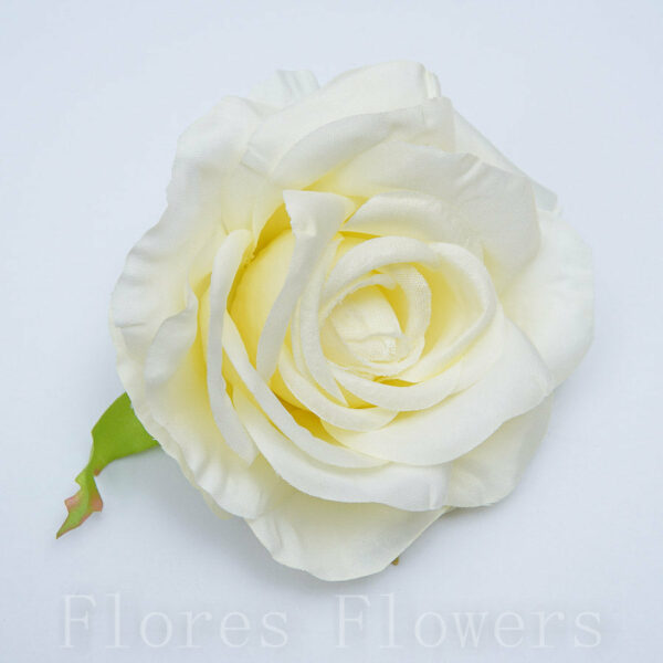 umelé kvety, ruze, stabilizované ruže, popinave ruze, biele ruže, lacne umele kvety, ruze v boxe, umelé kvety ako živé, luxusné umelé kvety, ruza cena, modré Ruža vencová 10cm KRÉMOVÁ, cena za 6ks - ruže, umele kvety kusovky, trvacne ruze v boxe, trvácne ruže v boxe, umelé kvety do vázy, umelé kytice, aranžmány z umelých kvetov, umele kvety do vazy, umelé ruže