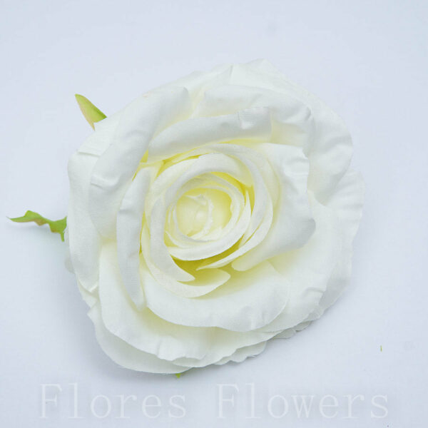 umelé kvety, ruze, stabilizované ruže, popinave ruze, biele ruže, lacne umele kvety, ruze v boxe, umelé kvety ako živé, luxusné umelé kvety, ruza cena, modré Ruža vencová 10 cm BIELA/KRÉM, cena za 6ks - ruže, umele kvety kusovky, trvacne ruze v boxe, trvácne ruže v boxe, umelé kvety do vázy, umelé kytice, aranžmány z umelých kvetov, umele kvety do vazy, umelé ruže