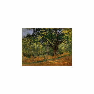 Reprodukcia obrazu Claude Monet - The Bodmer Oak, Fontainebleau Forest, 70 × 50 cm - obraz na stenu, obrazy na stenu do obývačky, lacne obrazy na stenu, reprodukcia, obrazy do obývačky jednodielne, reprodukcie, reprodukcie obrazov, reprodukcia obrazov, obrazy na stenu priroda, obrazy na stenu kvety, obraz na stenu priroda, maľované obrazy na stenu, obrazy do obývačky kvety, obrazy na stenu vidiecky štýl, malovane reprodukcie obrazov, vintage obrazy na stenu, obrazy reprodukcie, farebné obrazy na stenu, reprodukcie obrazov na plátne, obrazy na stenu vintage, reprodukcie obrazov na plátne, obrazy na stenu vintage, obraz na stenu mesto, obrazy na stenu more, obraz na stenu more, obrazy na stenu mesta, obrazy na stenu les, obraz reprodukcia, obrazy na stenu mesto, obraz plagat, plagaty obrazy na stenu, obrazy na stenu vlčie maky, reprodukcie slávnych obrazov