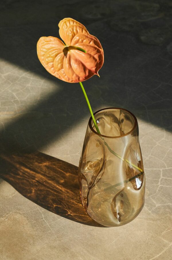 Dekoratívna váza Medicine - váza na kvety, sklenená váza, sklenené vázy, vazy na kvety, kristalova vaza, biela vaza, krištáľové vázy, moderne vazy do obyvacky, cierna vaza, čierna váza, tyrkysova vaza, zlata vaza, zelena vaza, drevena vaza, zelené vázy, keramicka vaza, krištáľová váza, váza s kvetmi, zlta vaza, bohemia crystal váza modra vaza, kameninova vaza, vaza sklo, kamenna vaza, váza biela, strieborná váza, modrá vaza vaza na tulipany, vazicka, luxusne vazy