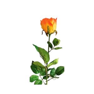 Umelá oranžová ruža, 69 cm, umelé kvety, ruze, stabilizované ruže, popinave ruze, biele ruže, lacne umele kvety, ruze v boxe, umelé kvety ako živé, luxusné umelé kvety, ruza cena, modré ruže, umele kvety kusovky, trvacne ruze v boxe, trvácne ruže v boxe, umelé kvety do vázy, umelé kytice, aranžmány z umelých kvetov, umele kvety do vazy, umelé ruže