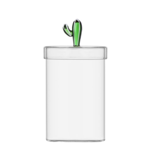 Sklenená dóza s vekom so zeleným kaktusom ø 10,8 cm — Ichendorf - kvitnúce kaktusy, kaktus s listami, kvitnuci kaktus, kaktus izbový