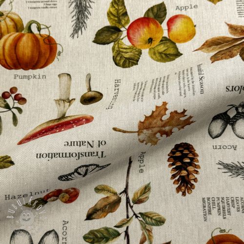 Dekoračná látka Linenlook Fall Harvest Recipe digital print - ľan metráž, lan metraz, jutovina metráž, látka na vankúše, latka na vankuse, latka na vankus, látky metráž eshop, viskóza metráž, latky metraz eshop, dekoračné látky metráž, dekoracna latka metraz, ľanové látky metráž, látky metráž lacné, lanova latka metraz, lanove latky metraz, latka eshop, režné plátno metráž, ľan metráž veľkoobchod, obrusovina metráž, látky metráž, dekoračná látka, metráž látky, metrazove latky